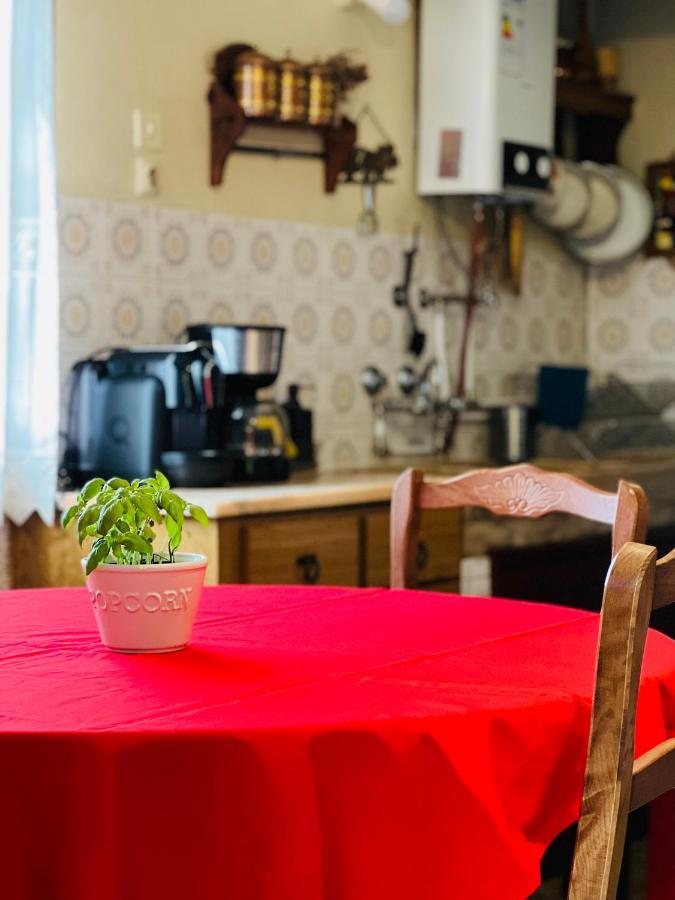 Nogueira Country House Guest House Fundao Ngoại thất bức ảnh