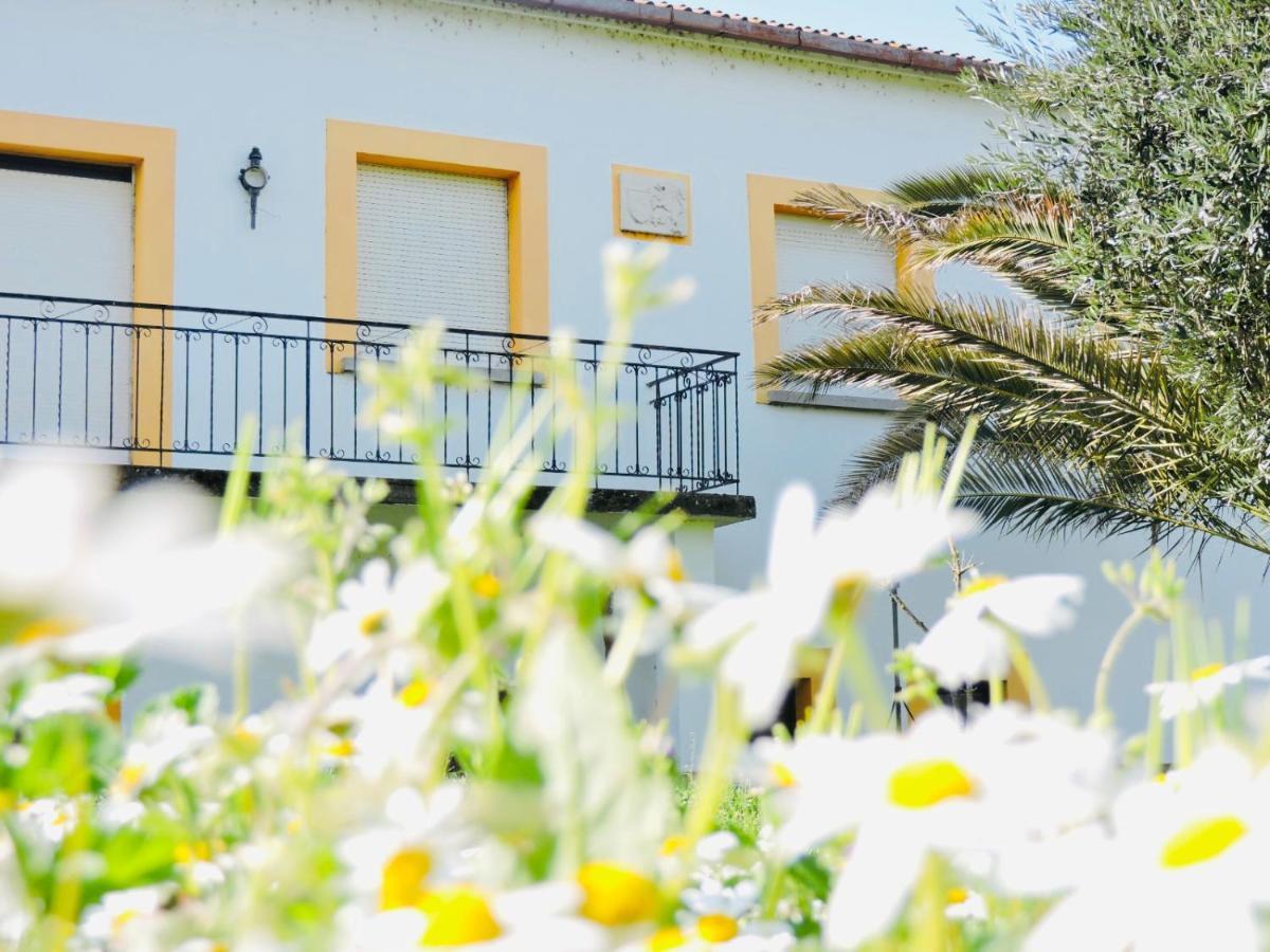 Nogueira Country House Guest House Fundao Ngoại thất bức ảnh