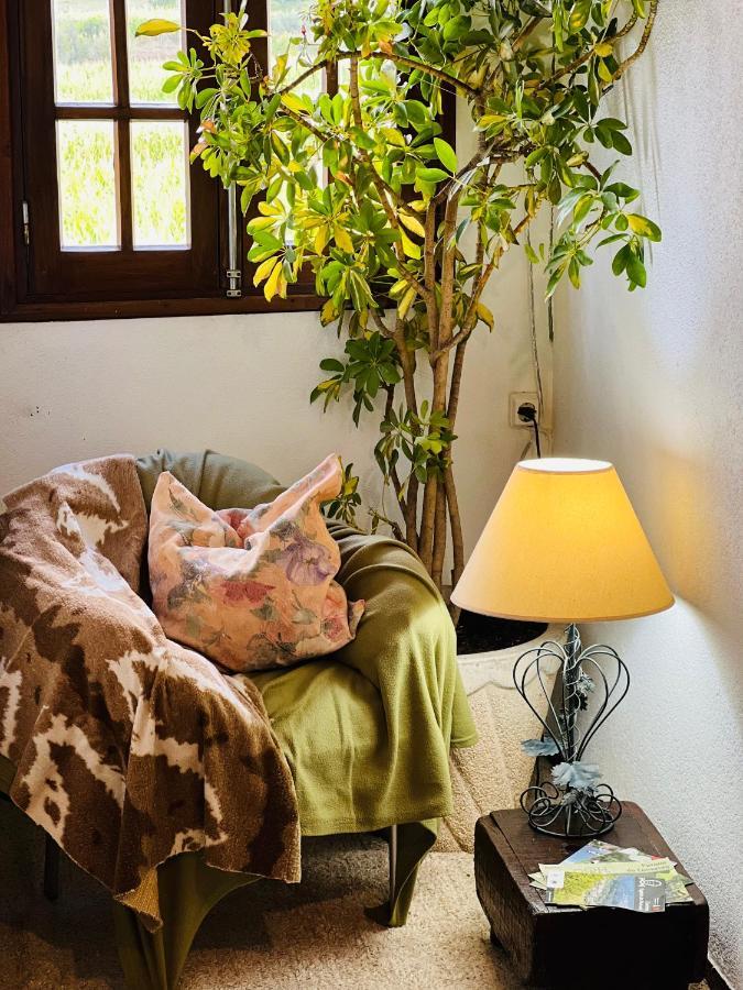 Nogueira Country House Guest House Fundao Ngoại thất bức ảnh